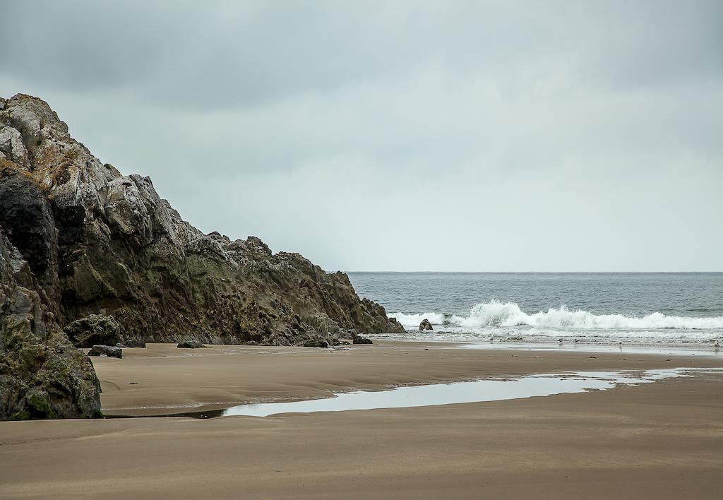 Somerfield Lodge Swansea Exteriér fotografie