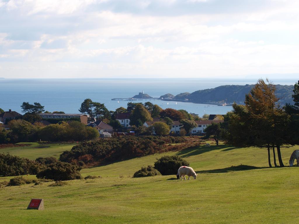 Somerfield Lodge Swansea Exteriér fotografie